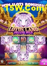 Provedores de Jogos 6733
